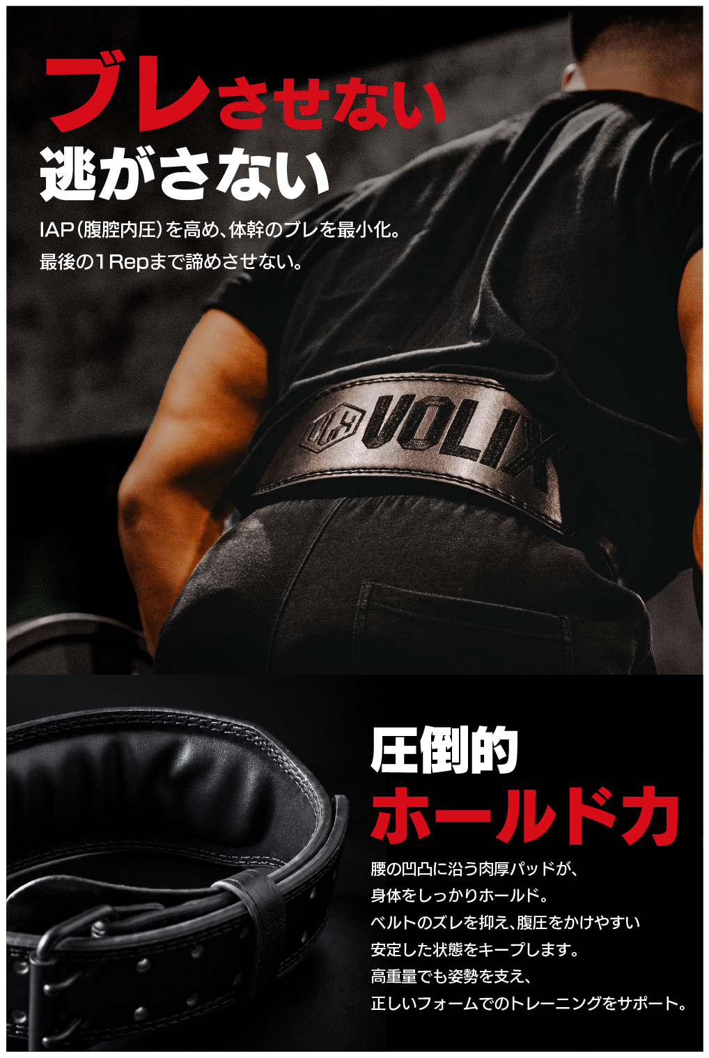 Training Belt - トレーニングベルト
